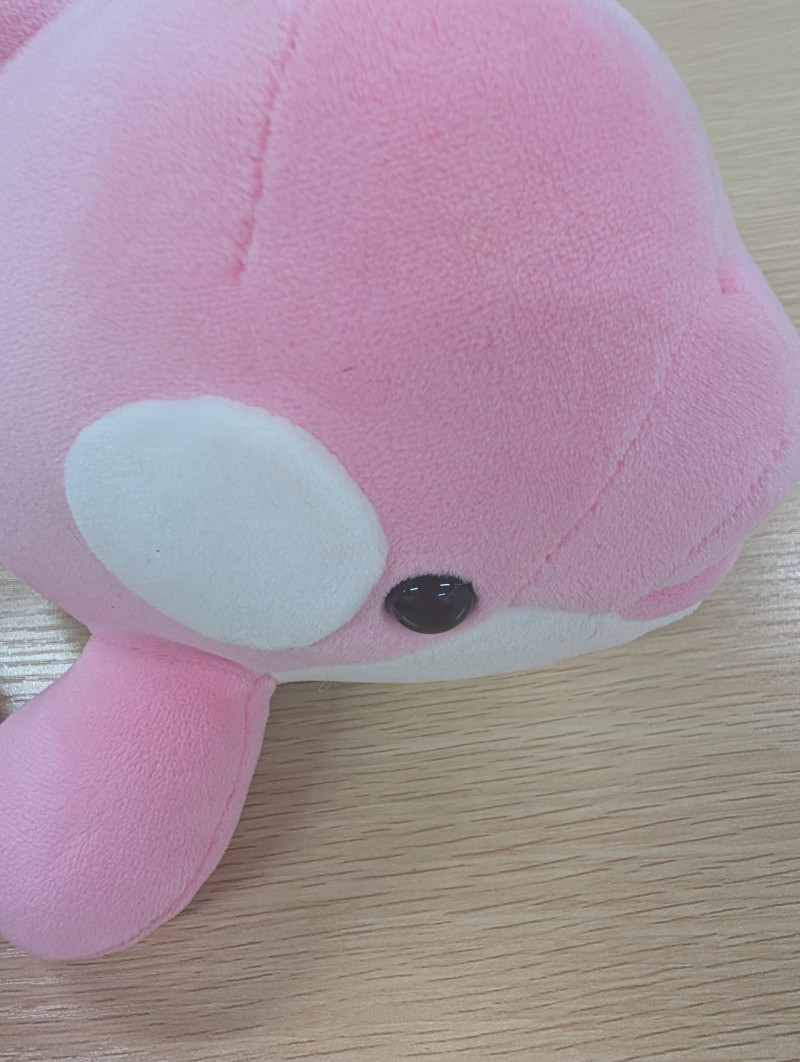 ぬぬの写メ