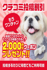 口コミ割引2000ポイント！